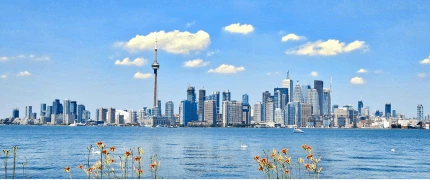 IBE Higher Education