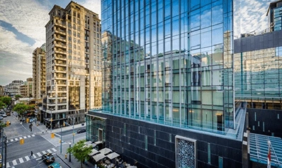 International Business University